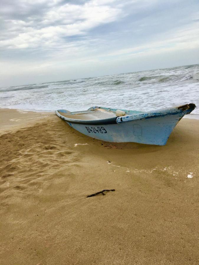 Апартаменти Beach, Wine, Dining, Sports, Summer, Winter Сериньян Екстер'єр фото